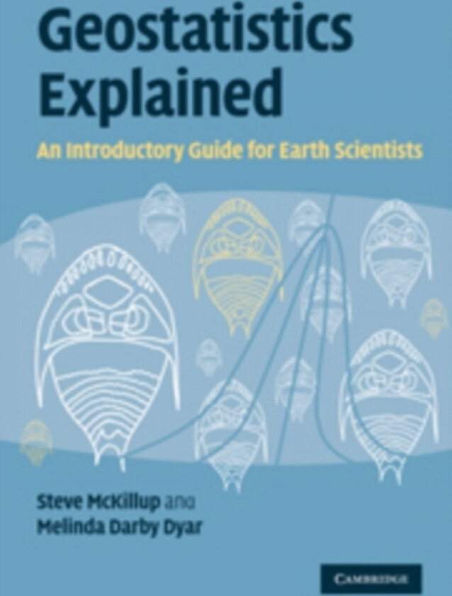 Geostatistics Explained av Steve McKillup, Melinda Darby Dyar (Paperback)