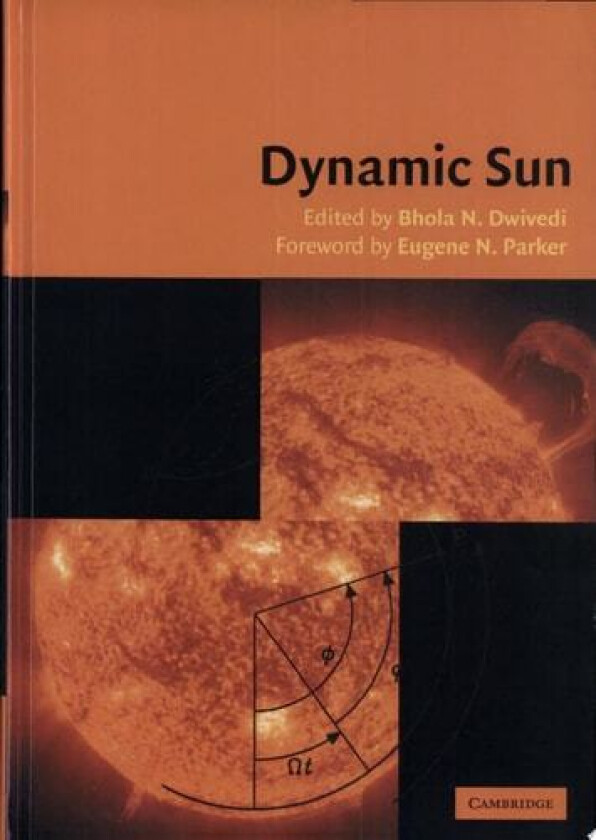Dynamic Sun av B. N. Dwivedi (Hardcover)