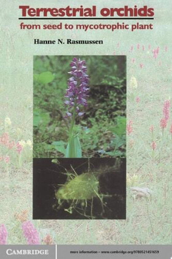 Terrestrial Orchids av Hanne N. Rasmussen (Hardcover)