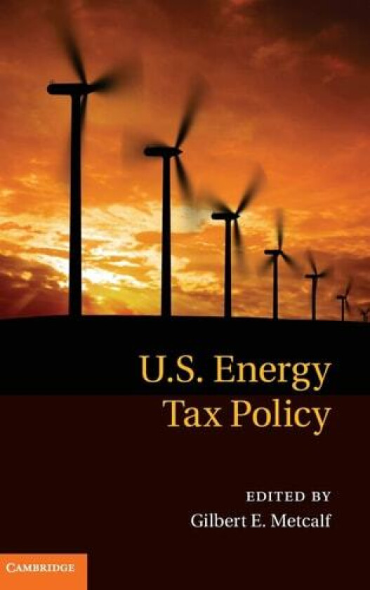 US Energy Tax Policy av Gilbert E. Metcalf (Hardcover)