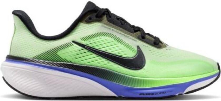 Air Zoom Pegasus 42