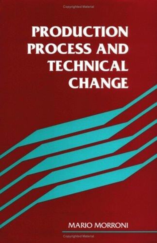 Production Process and Technical Change av Mario Morroni (Hardcover)