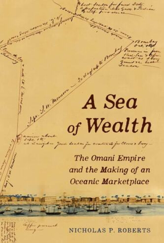 A Sea of Wealth av Nicholas P. Roberts