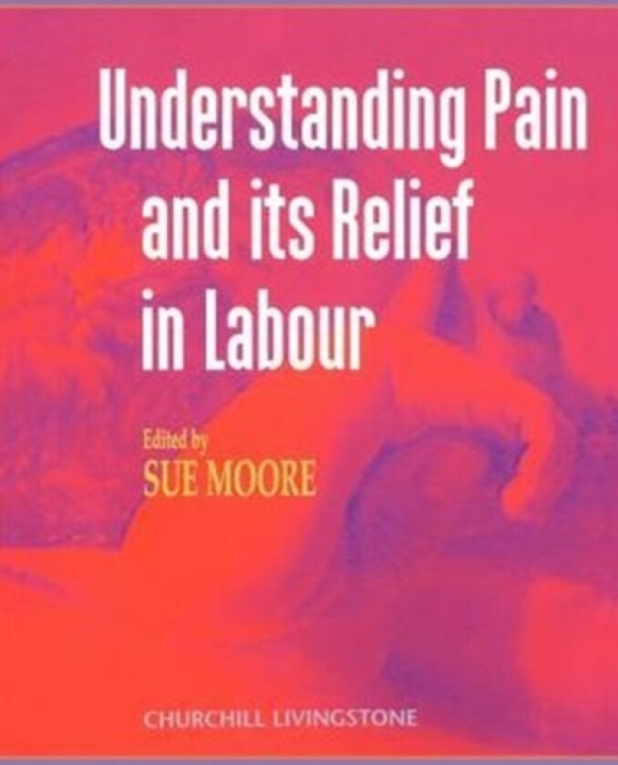 Understanding Pain and Its Relief in Labour av Sue MSc BA RGN RM Moore (Paperback)
