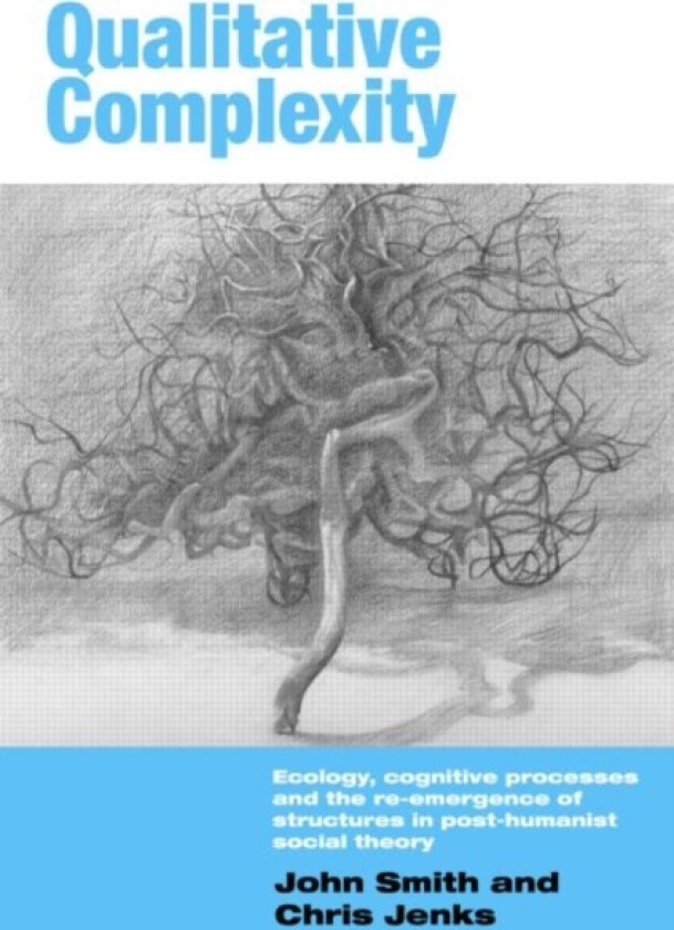Qualitative Complexity av John Smith, Chris Jenks (Paperback)