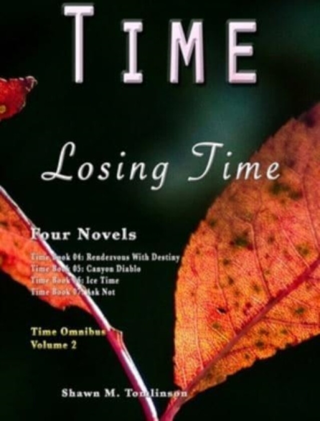 Time av Shawn M Tomlinson (Hardcover)