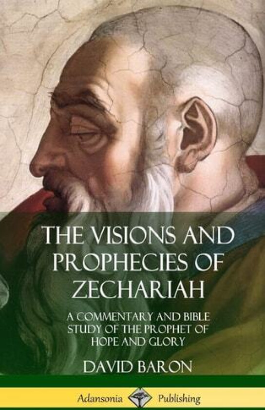 The Visions and Prophecies of Zechariah av David Baron (Hardcover)