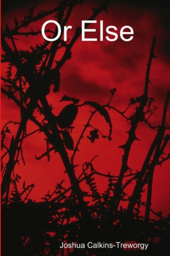 Or Else av Joshua Calkins-Treworgy (Paperback)
