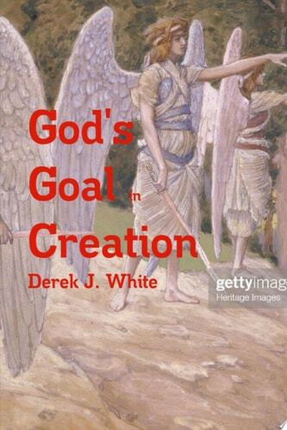 God's Goal In Creation av Derek J White (Paperback)