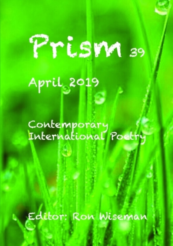 Prism 39 - April 2019 av Ronald Wiseman (Paperback)