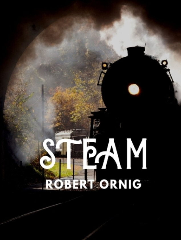 Steam av Robert Ornig (Paperback)