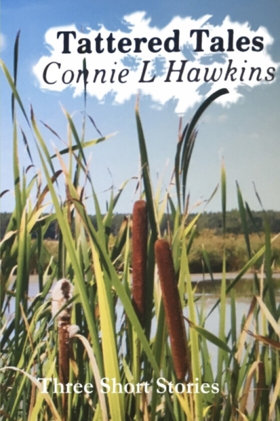 Tattered Tales av Connie L Hawkins (Paperback)