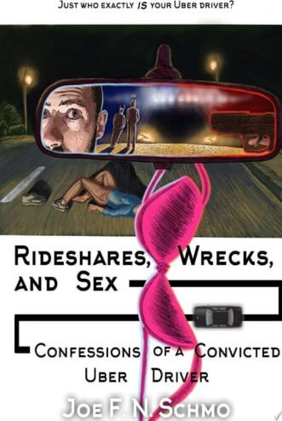 Ridehares, Wrecks, and Sex av Joe F N Schmo (Hardcover)