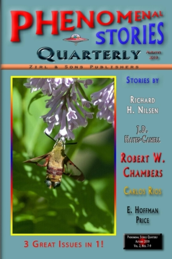 Phenomenal Stories Quarterly #04, Autumn 2019, Vol. 2, No. 3 av Shawn M Tomlinson (Paperback)