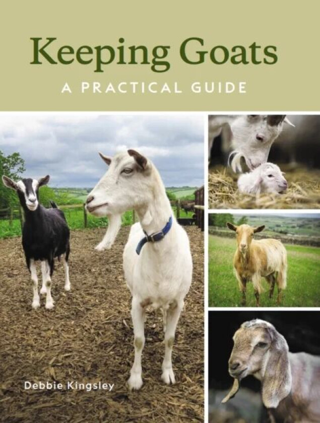 Keeping Goats av Debbie Kingsley