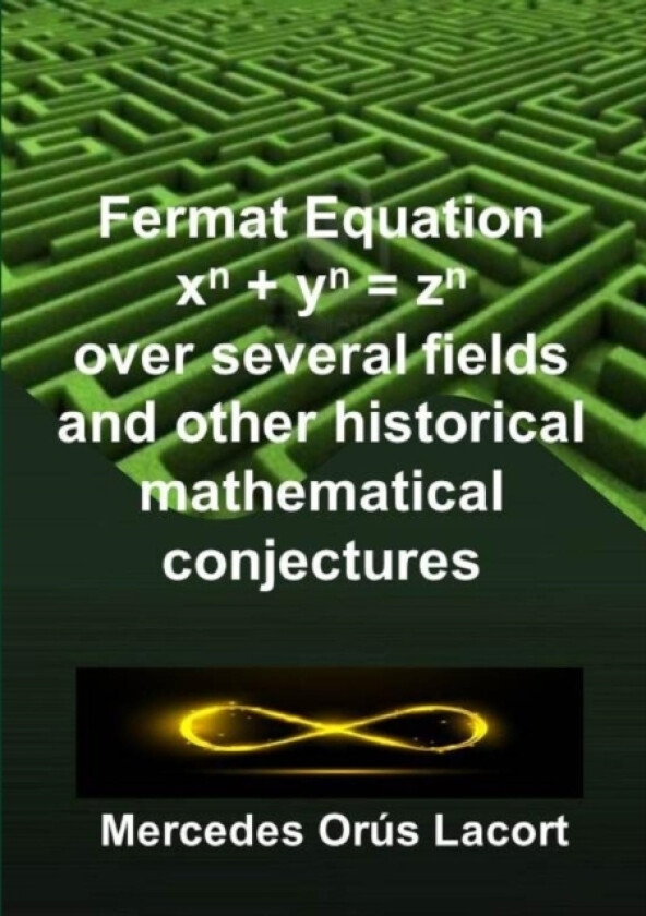 Fermat Equation over several fields and other historical mathematical conjectures av Mercedes Orus Lacort (Paperback)
