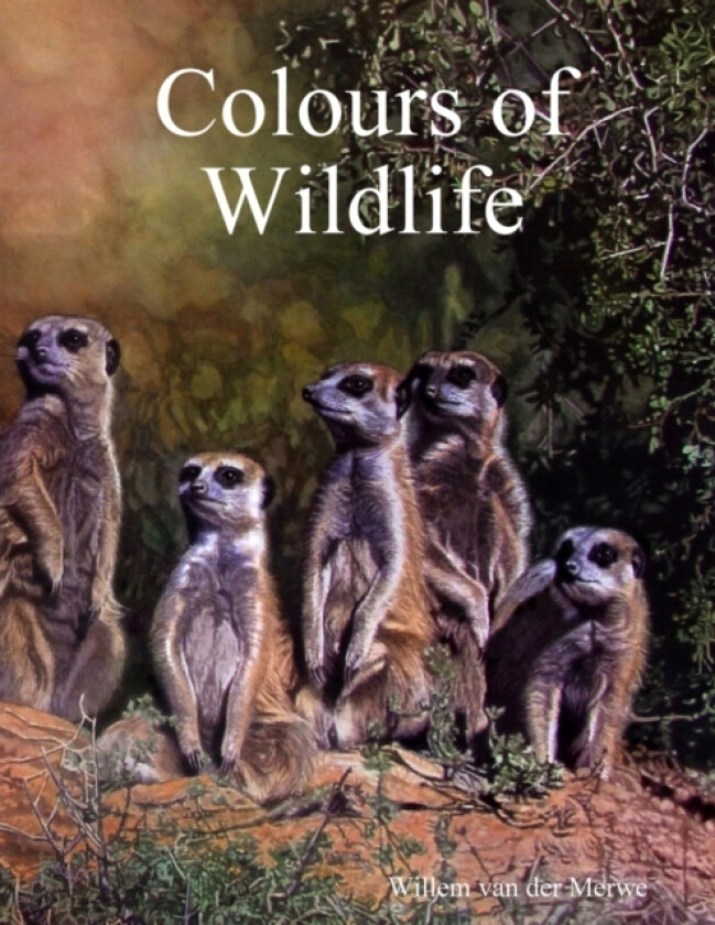 Colours of Wildlife av Willem van der Merwe (Paperback)