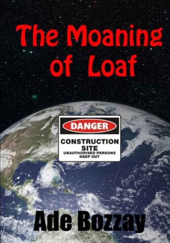 The Moaning of Loaf av Ade Bozzay (Paperback)