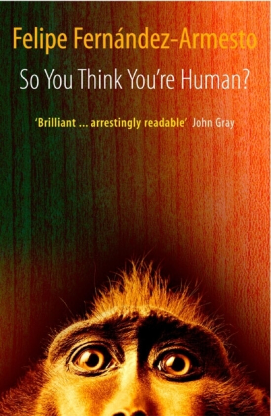 So You Think You're Human? av Felipe. Fernandez-Armesto (Paperback)