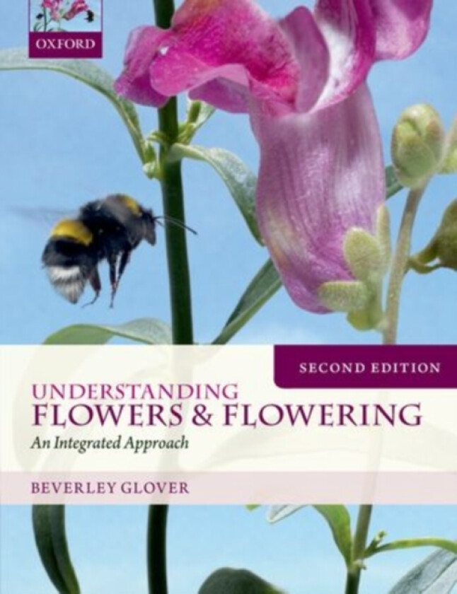 Understanding Flowers and Flowering Second Edition av Beverley Glover (Hardcover)