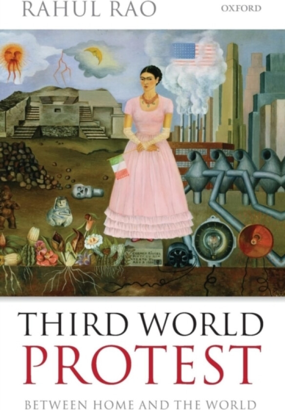 Third World Protest av Rahul Rao (Hardcover)