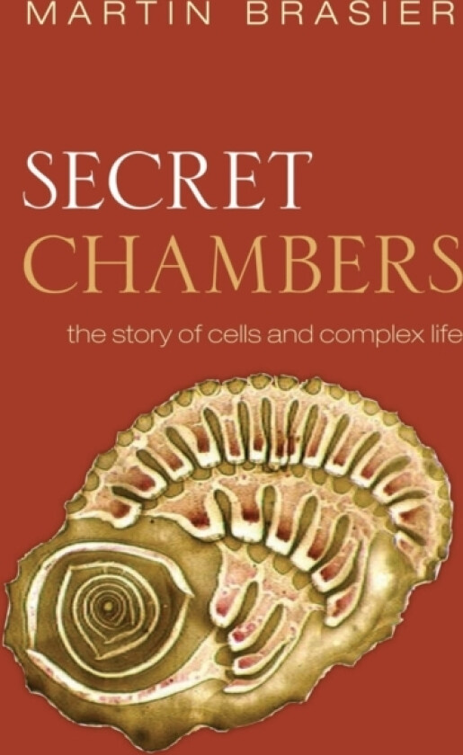 Secret Chambers av Martin Brasier (Hardcover)