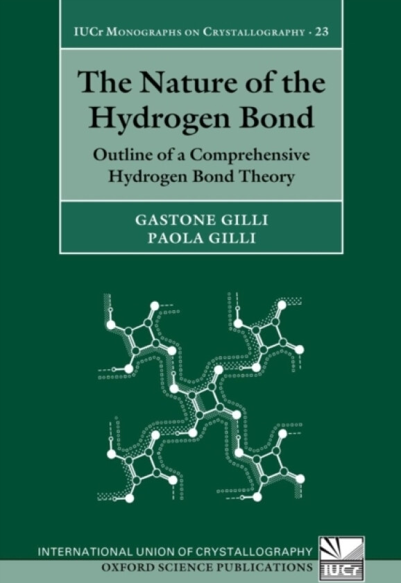 The Nature of the Hydrogen Bond av Gastone Gilli, Paola Gilli (Paperback)