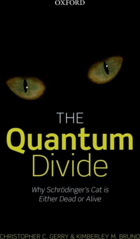 The Quantum Divide av Christopher C. Gerry, Kimberley M. Bruno (Hardcover)