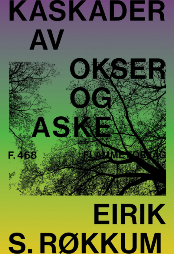 Kaskader av okser og aske av Eirik S. Røkkum