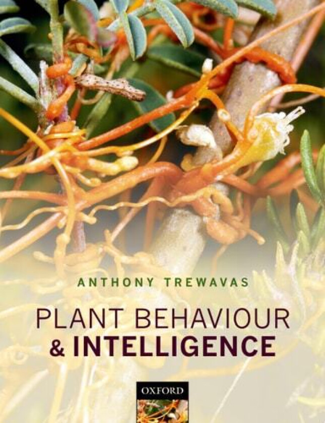 Plant Behaviour and Intelligence av Anthony Trewavas (Hardcover)