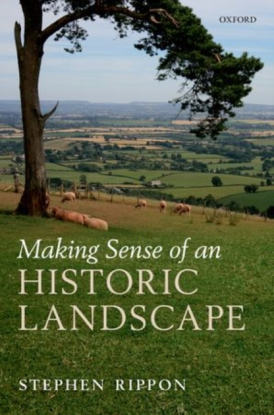 Making Sense of an Historic Landscape av Stephen Rippon (Hardcover)