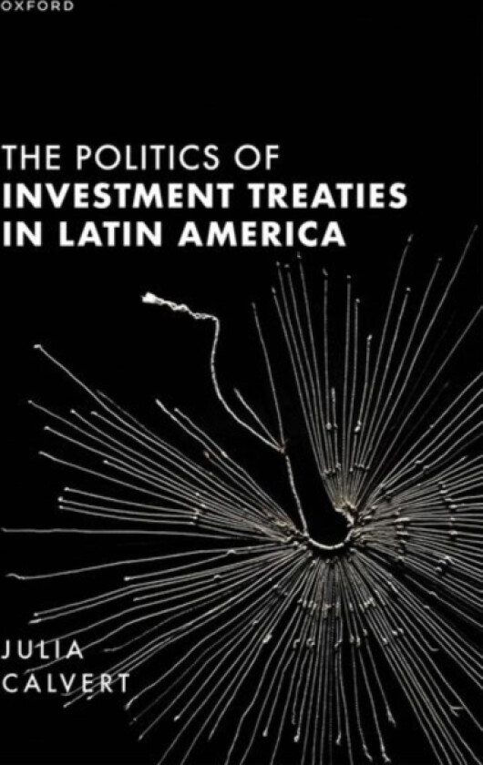 The Politics of Investment Treaties in Latin America av Julia Calvert (Hardcover)