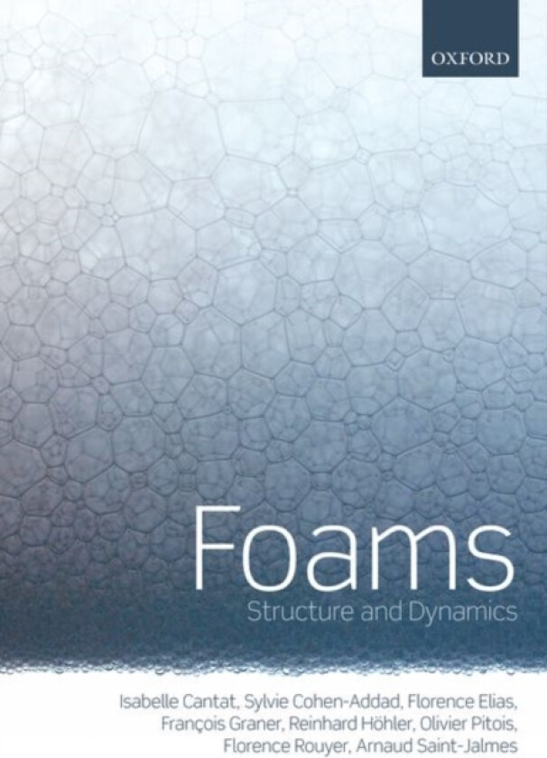 Foams av Isabelle Cantat, Sylvie Cohen-Addad (Paperback)