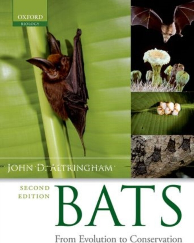 Bats av John D. Altringham (Hardcover)