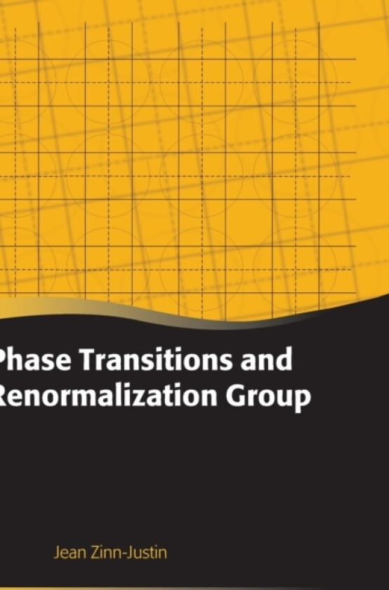 Phase Transitions and Renormalization Group av Jean Zinn-Justin (Hardcover)