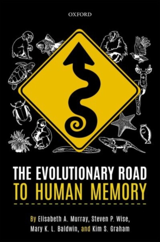 The Evolutionary Road to Human Memory av Elisabeth A. Murray, Steven P. Wise, Mary K.L. Baldwin (Paperback)