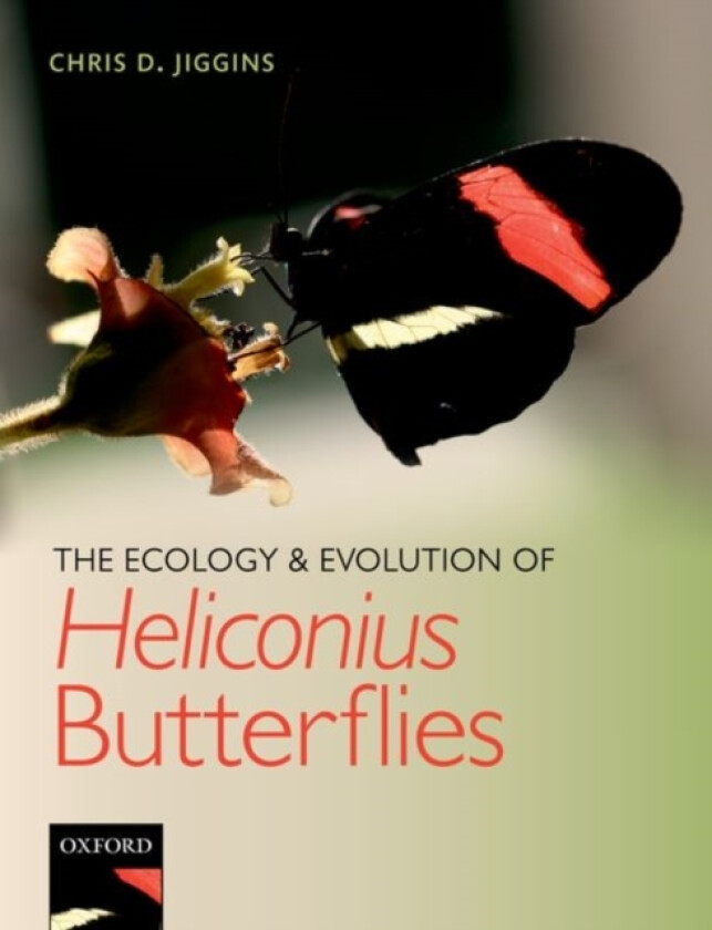 The Ecology and Evolution of Heliconius Butterflies av Chris D. Jiggins (Paperback)