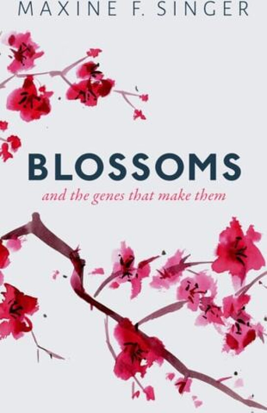 Blossoms av Maxine Singer (Hardcover)