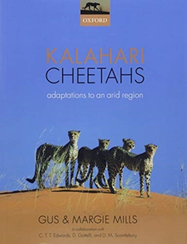 Kalahari Cheetahs av Gus Mills, Margaret Mills (Paperback)