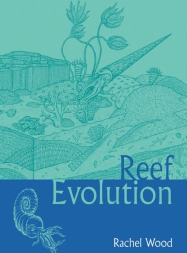 Reef Evolution av Wood (Paperback)
