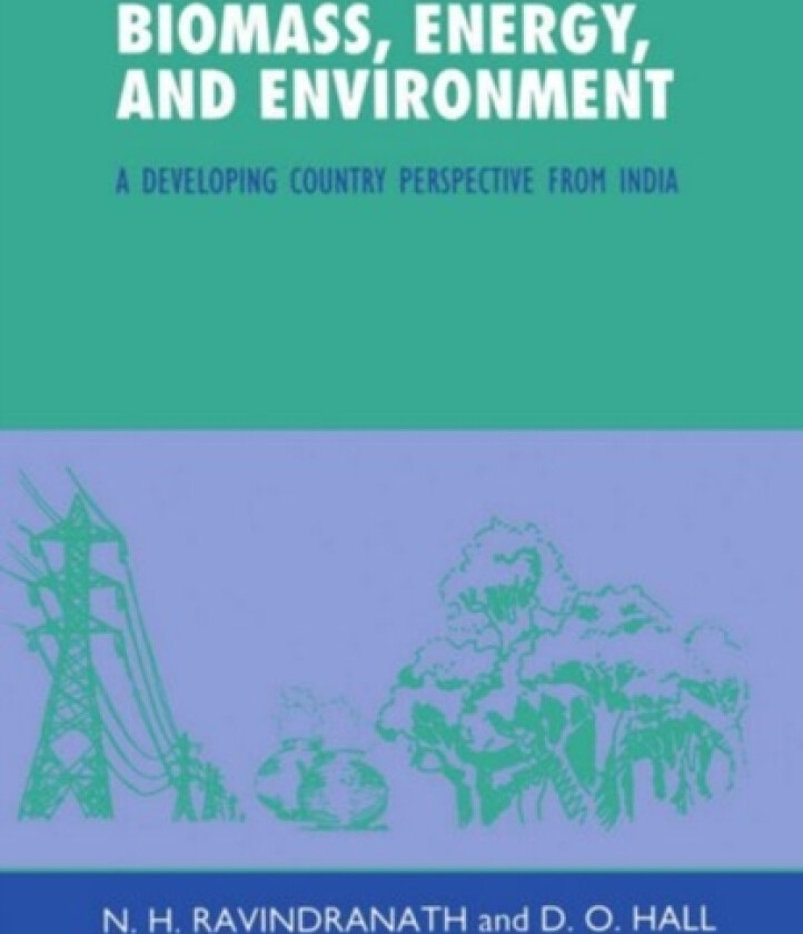 Biomass, Energy, and Environment av N.H. Ravindranath, D.O. Hall (Hardcover)