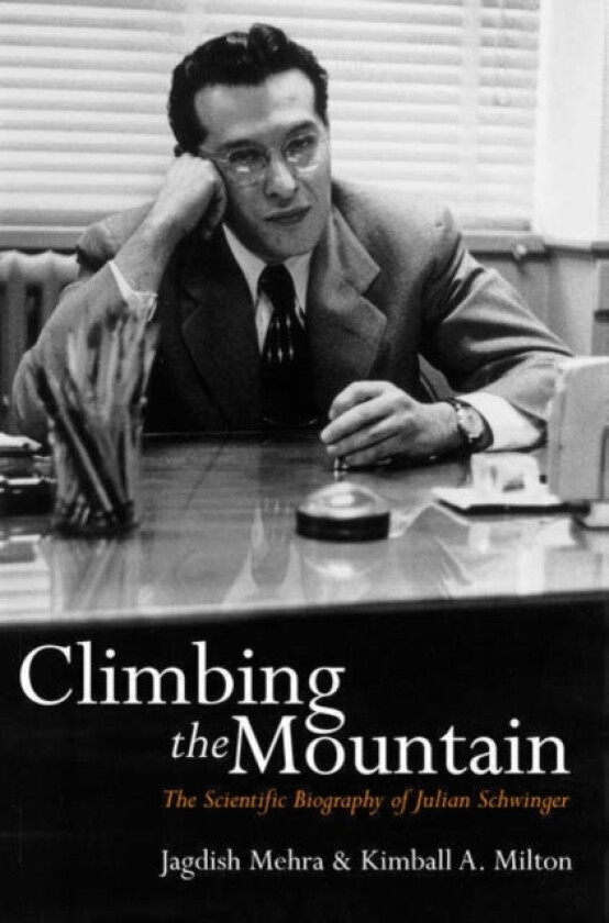 Climbing the Mountain av Jagdish Mehra, Kimball Milton (Paperback)