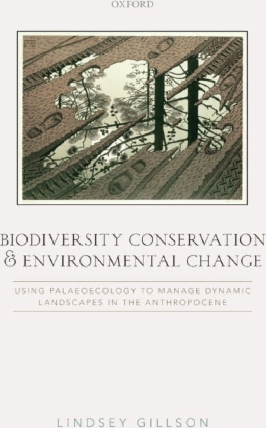 Biodiversity Conservation and Environmental Change av Lindsey Gillson (Hardcover)