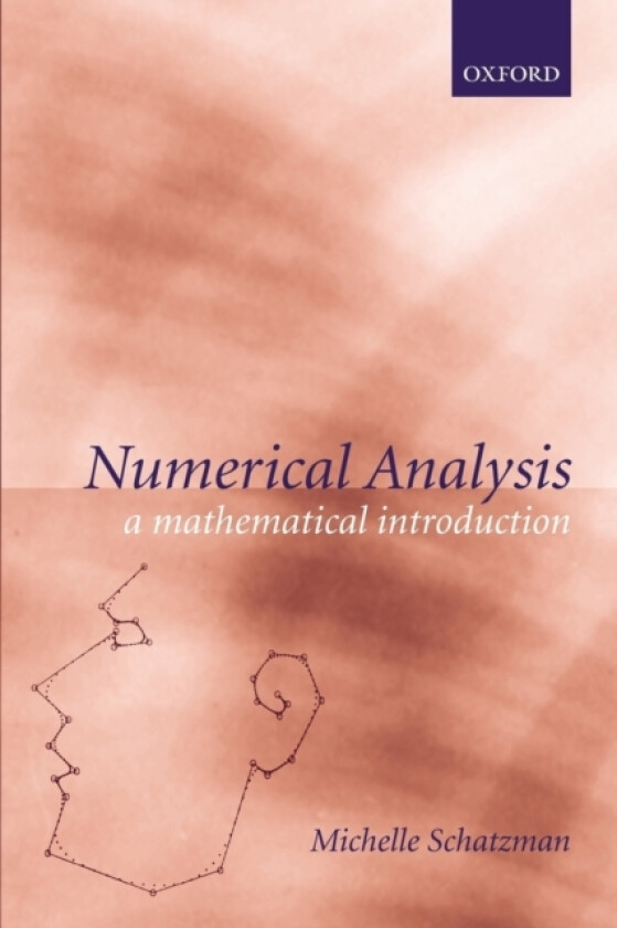 Numerical Analysis av Michelle Schatzman, John Taylor (Paperback)