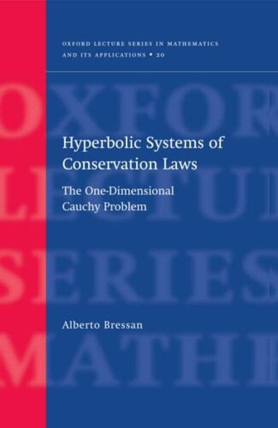 Hyperbolic Systems of Conservation Laws av Alberto Bressan (Hardcover)