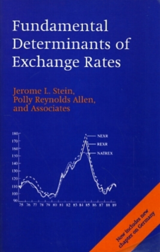 Fundamental Determinants of Exchange Rates av Jerome L. Stein, Polly Reynolds Allen (Paperback)