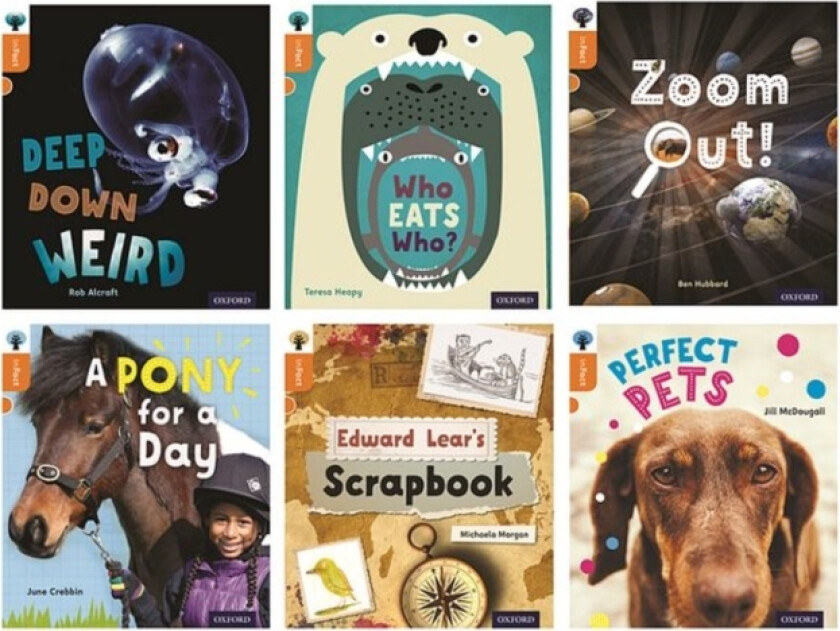 Oxford Reading Tree inFact: Level 6: Class Pack of 36 av Rob Alcraft, Jill McDougall, Ben Hubbard (Paperback)