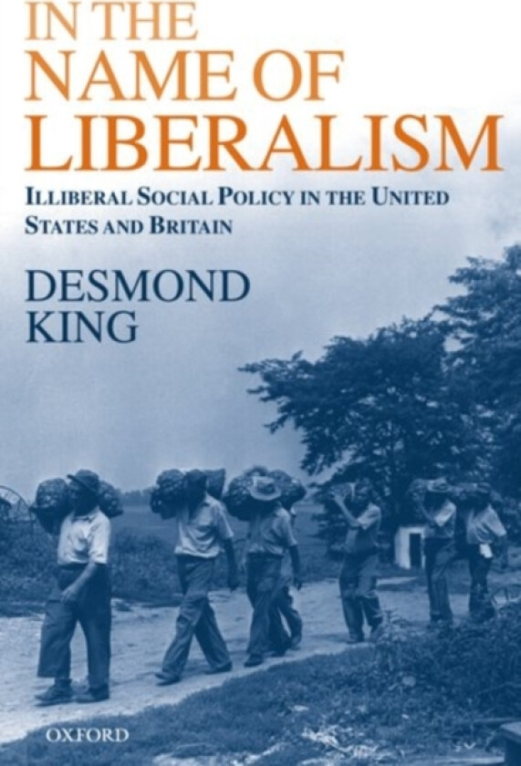In The Name of Liberalism av Desmond King (Paperback)