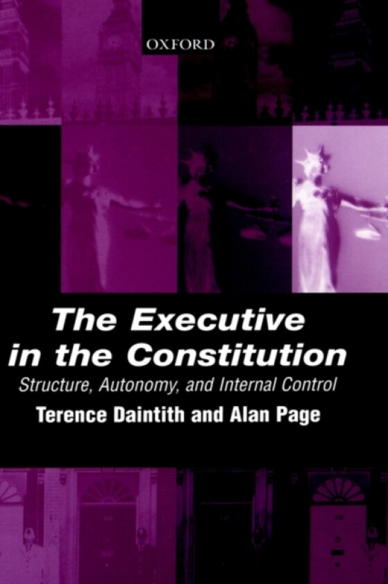 The Executive in the Constitution av Terence Daintith, Alan Page (Hardcover)