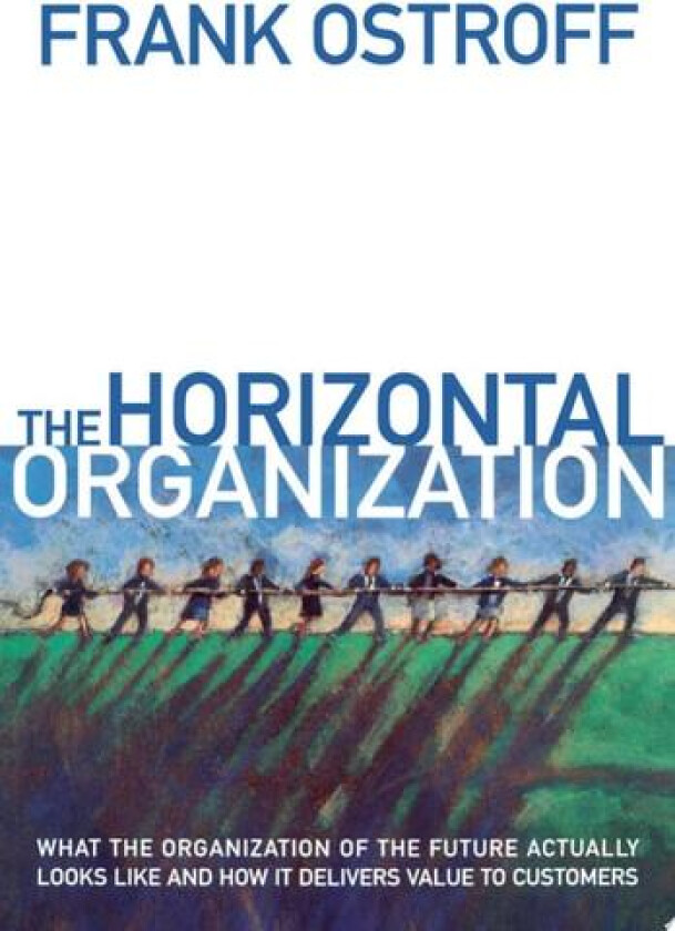 The Horizontal Organization av Frank Ostroff (Hardcover)